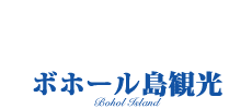 オプショナル　ボホール島観光