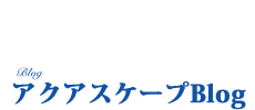 お店紹介　アクアスケープ日記