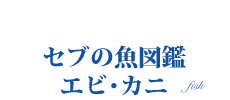 オリジナル情報　セブの魚図鑑　エビ・カニ