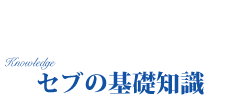 セブ島情報　基礎知識